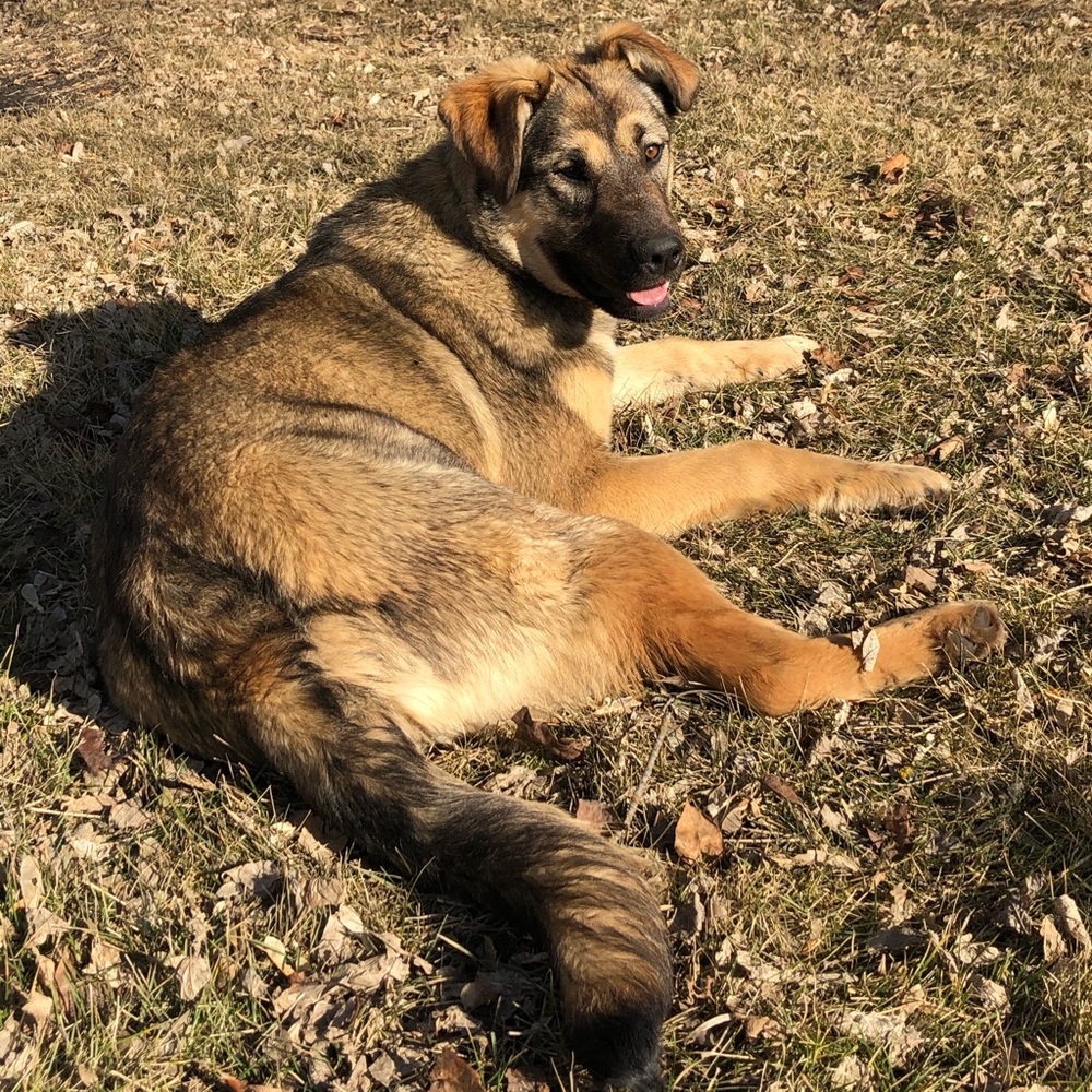 Meet your Posher, Marylou